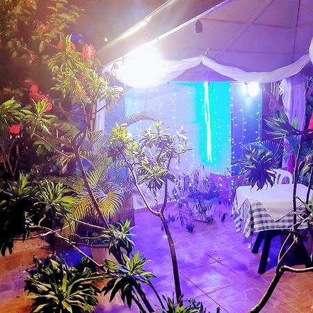 Hotel El Tronco Inc Boca Chica Dış mekan fotoğraf